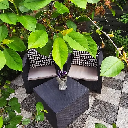 Jasien 77 A Czarna Dabrowka