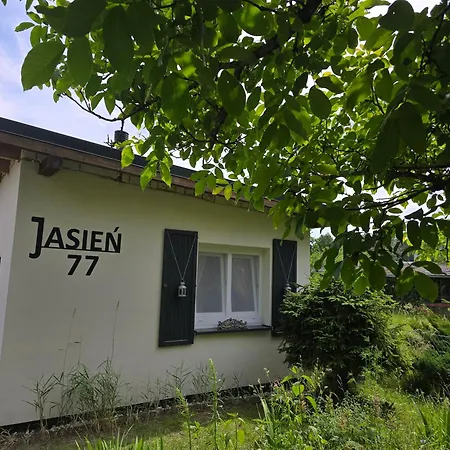Jasien 77 A *