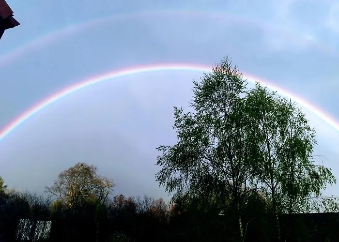 Jasien 77 A Czarna Dabrowka