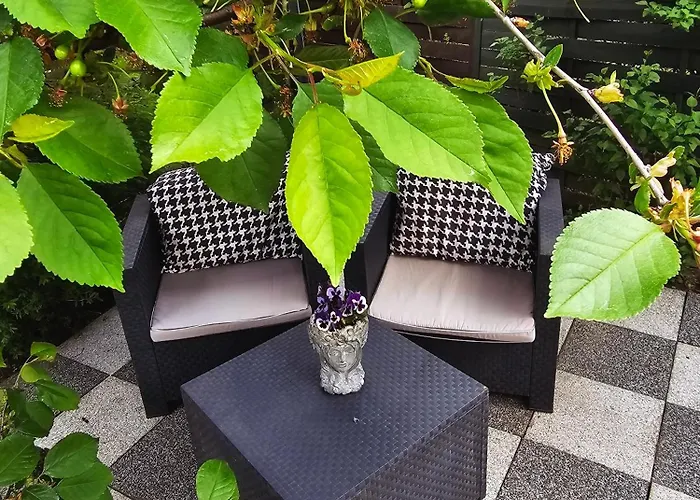 Jasien 77 A Czarna Dabrowka