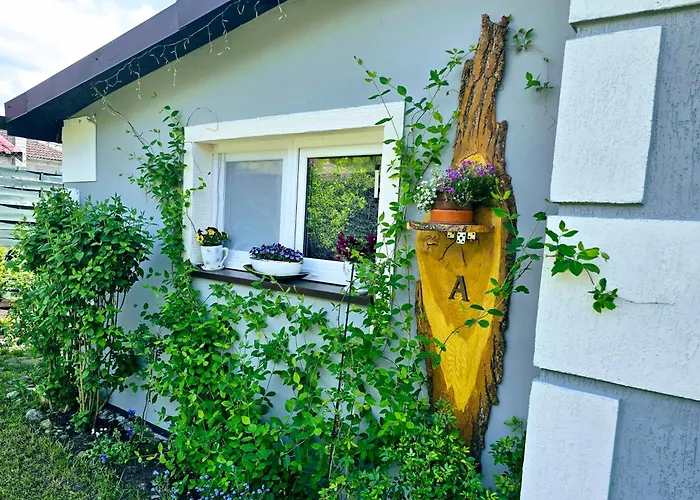 База отдыха Jasien 77 A