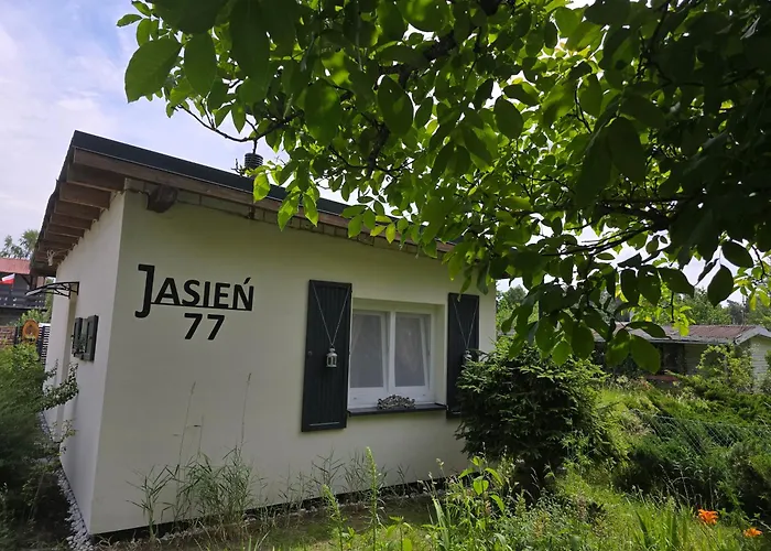 Jasien 77 A *